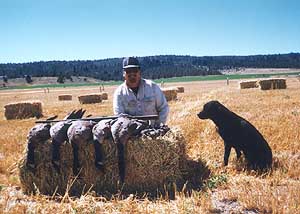 Waterfowl hunting in Klamath County 