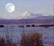 Mt. Shasta seen from a wildlife refuge, Klamath County Oregon